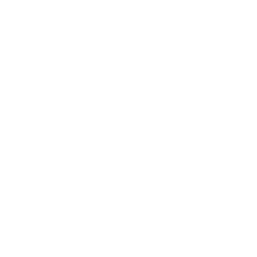 Flutter Development
